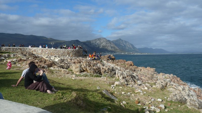 (25) Whale watching at Hermanus Bay.JPG